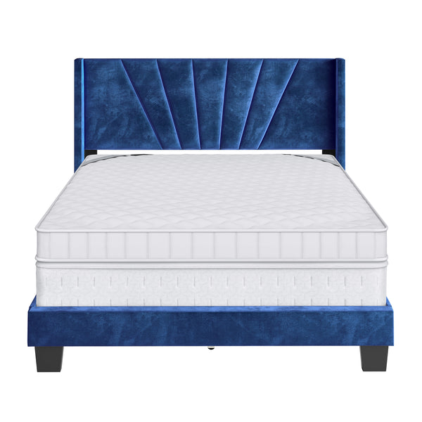 Valencia Velour Upholstered Bed
