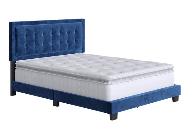 Pisa Velour Upholstered Platform Bed