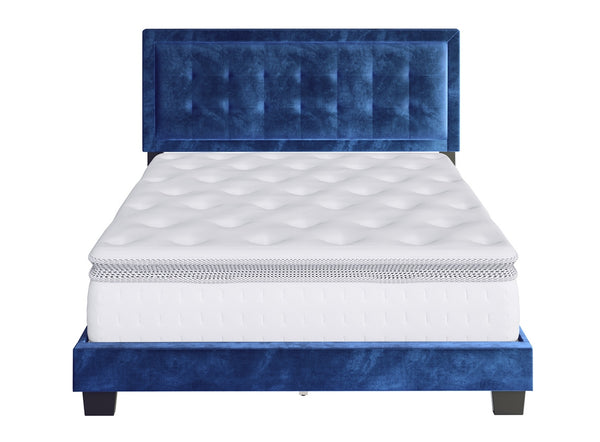 Pisa Velour Upholstered Platform Bed