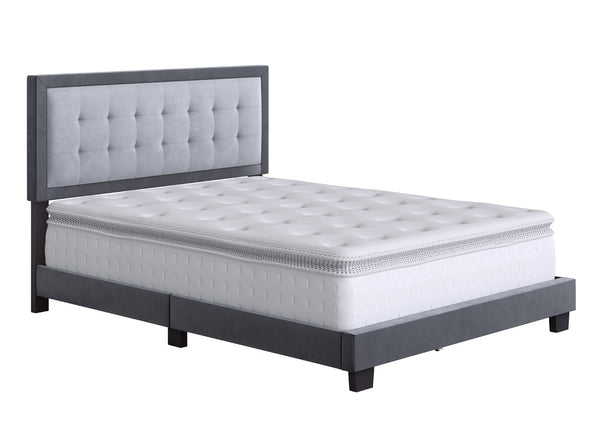 Pisa Velour Upholstered Platform Bed