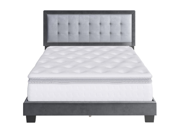 Pisa Velour Upholstered Platform Bed